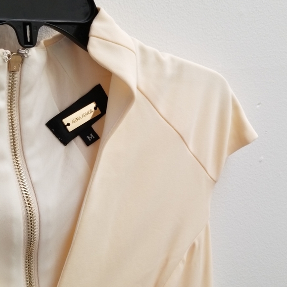 NWT Alexia Admor Ivory Military Neck Dress - Picture 5 of 7